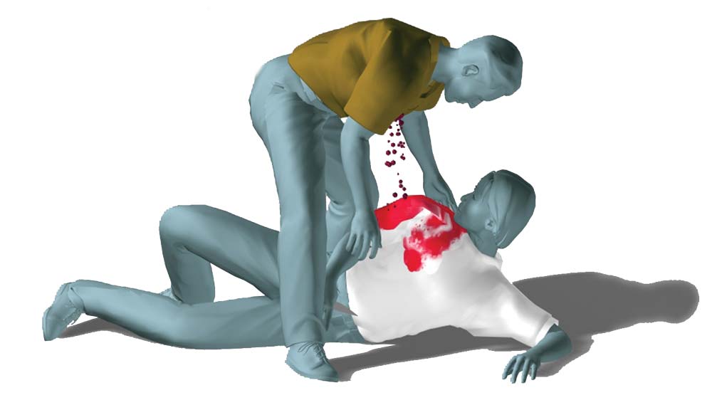 Homicide Reenactment: Eyewitness Impeachment by 3D-Animation